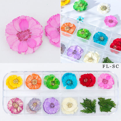 Nail Art Dried Flowers