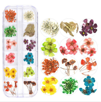 Nail Art Dried Flowers