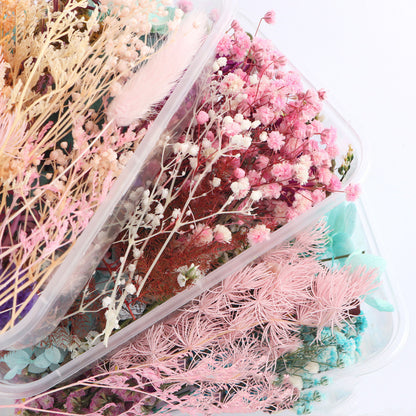 DIY Dried Flower Photo Frame Making Materials