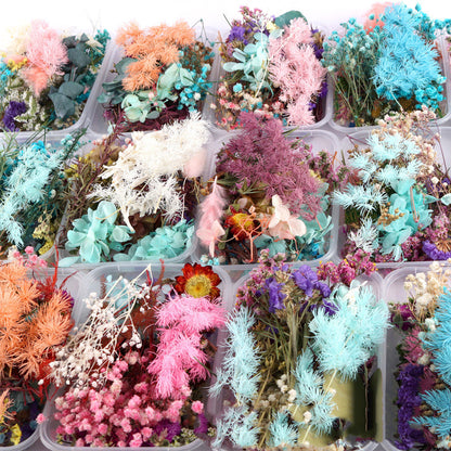 DIY Dried Flower Photo Frame Making Materials