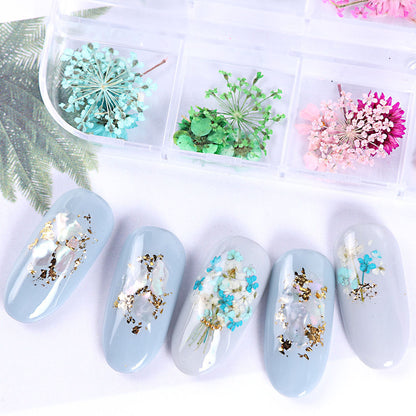 Nail Art Dried Flowers