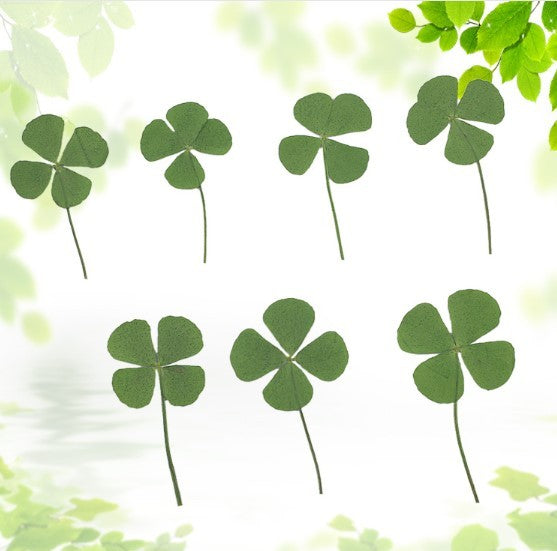 Four-leaf Clover (10 Pcs) For Handmade Jewelry