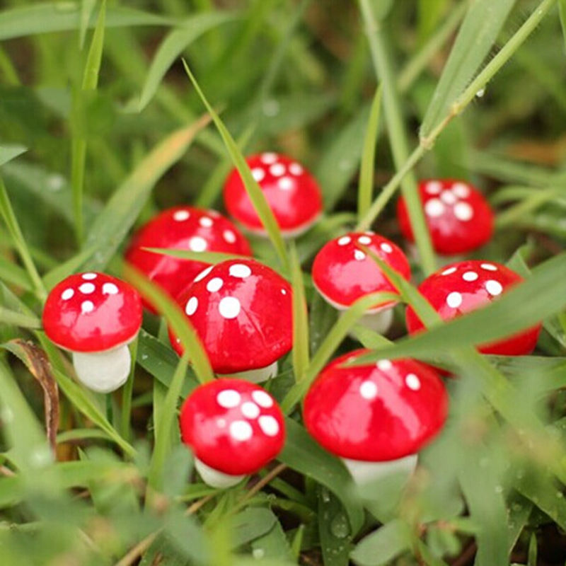 Forest Plant Simulation Bubble Small Mushroom