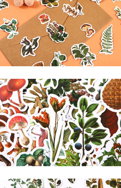 Forest Mushroom Hand Account Box Stickers