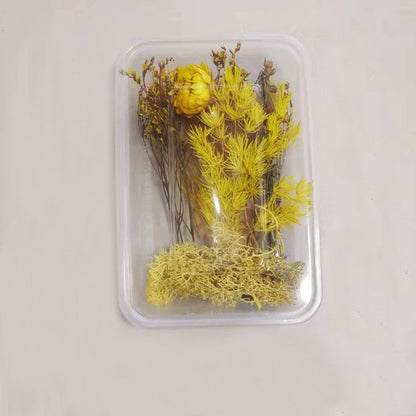 DIY Dried Flower Photo Frame Making Materials