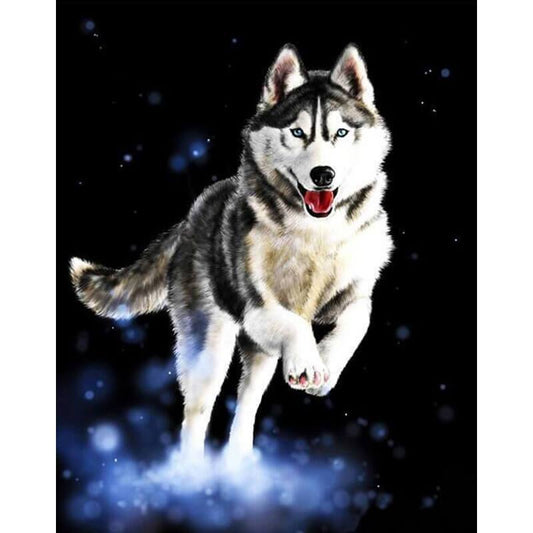 Huskie painting