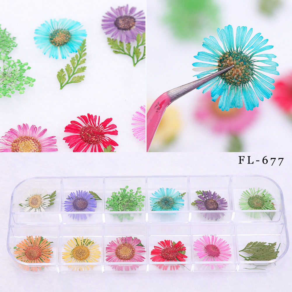 Nail Art Dried Flowers