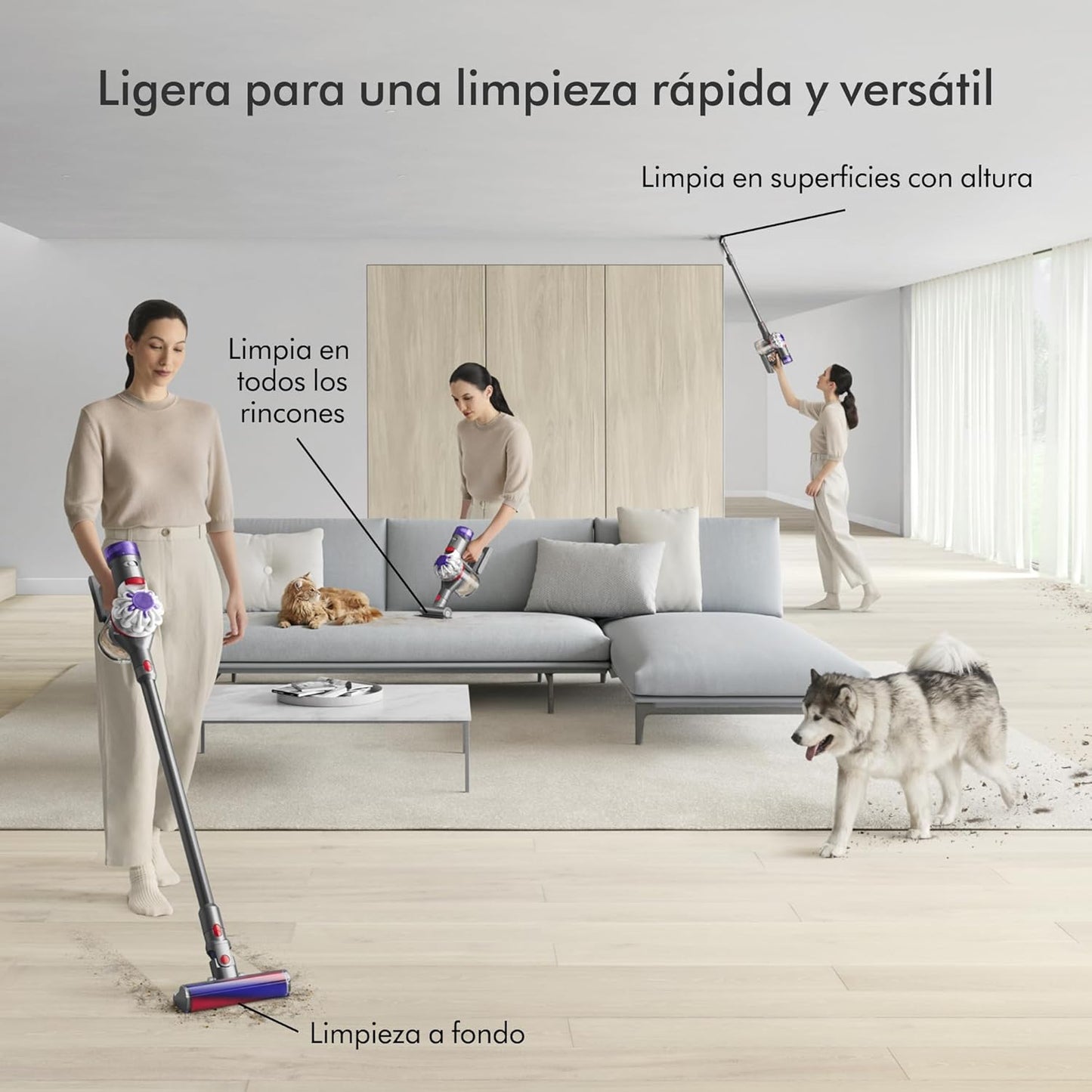 Dyson Aspiradora Cable V8 Absolute, Plata