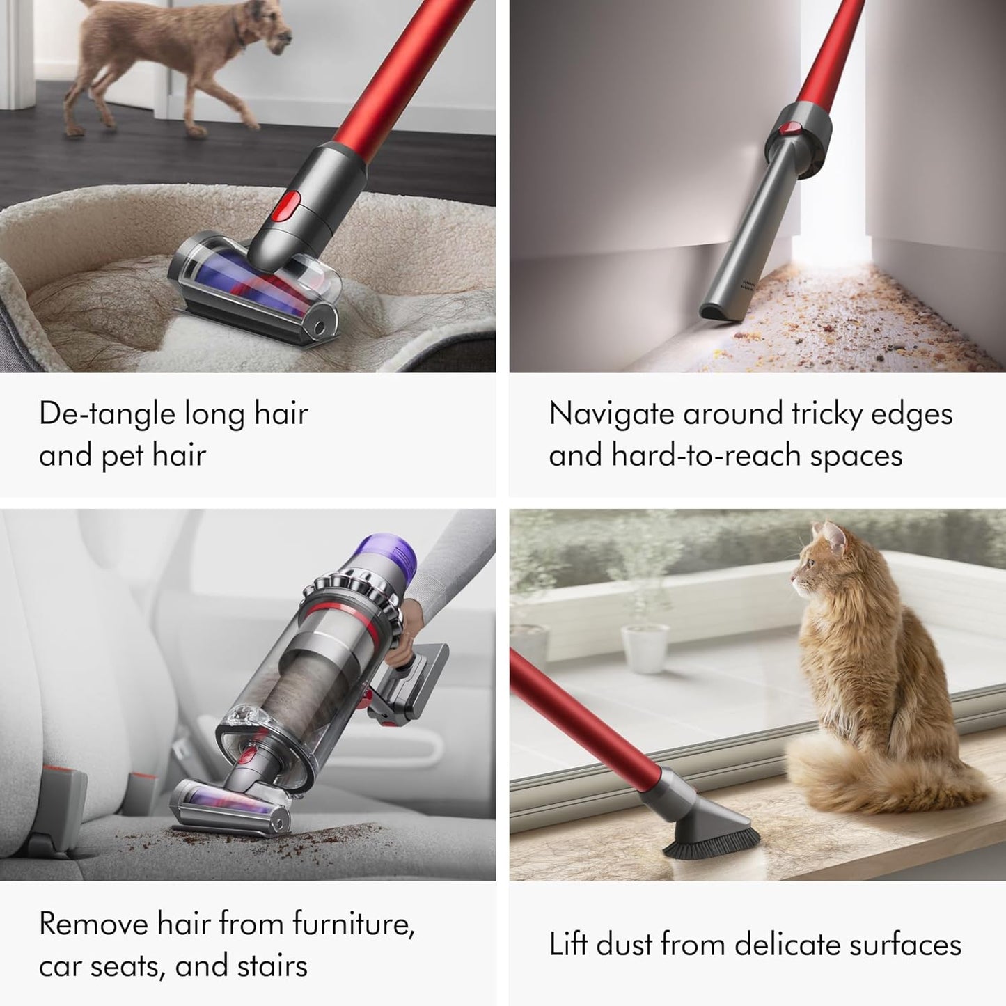 Dyson Aspiradora Outsize Origin