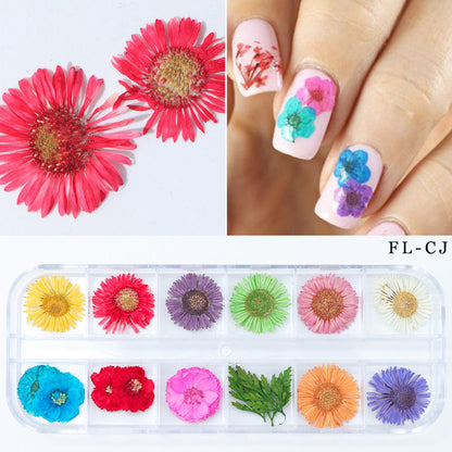 Nail Art Dried Flowers