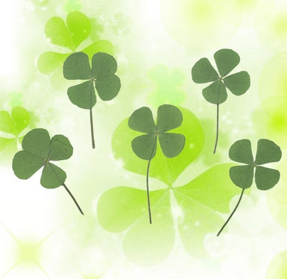 Four-leaf Clover (10 Pcs) For Handmade Jewelry