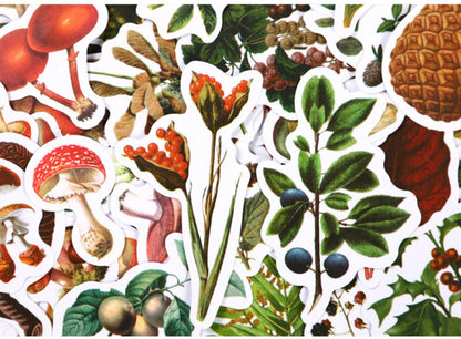 Forest Mushroom Hand Account Box Stickers