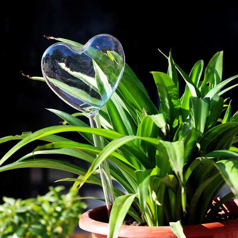 Green Plant Potted Automatic Watering Device